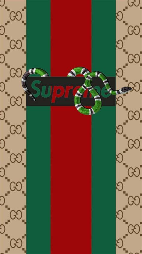 supreme gucci collaboration